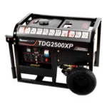 Planta eléctrica diésel Toyama 2,2 kVA 115/230 V TDG2500XP